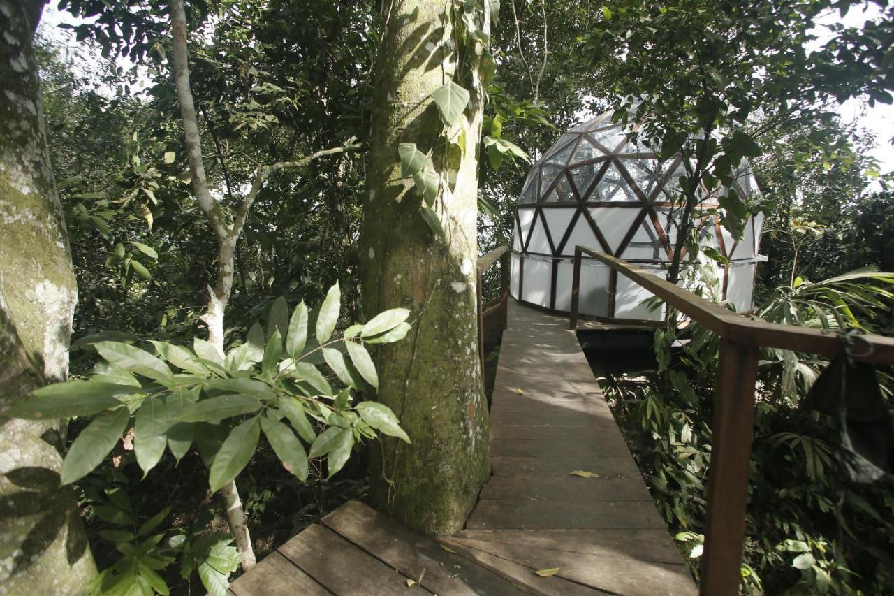 Taorayina Nature Lodge- Immersed In The Forest Ель-Зайно Екстер'єр фото