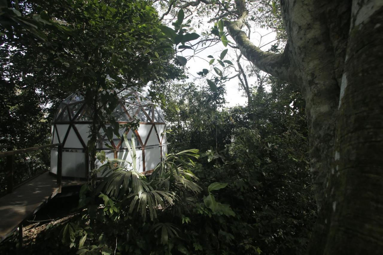 Taorayina Nature Lodge- Immersed In The Forest Ель-Зайно Екстер'єр фото