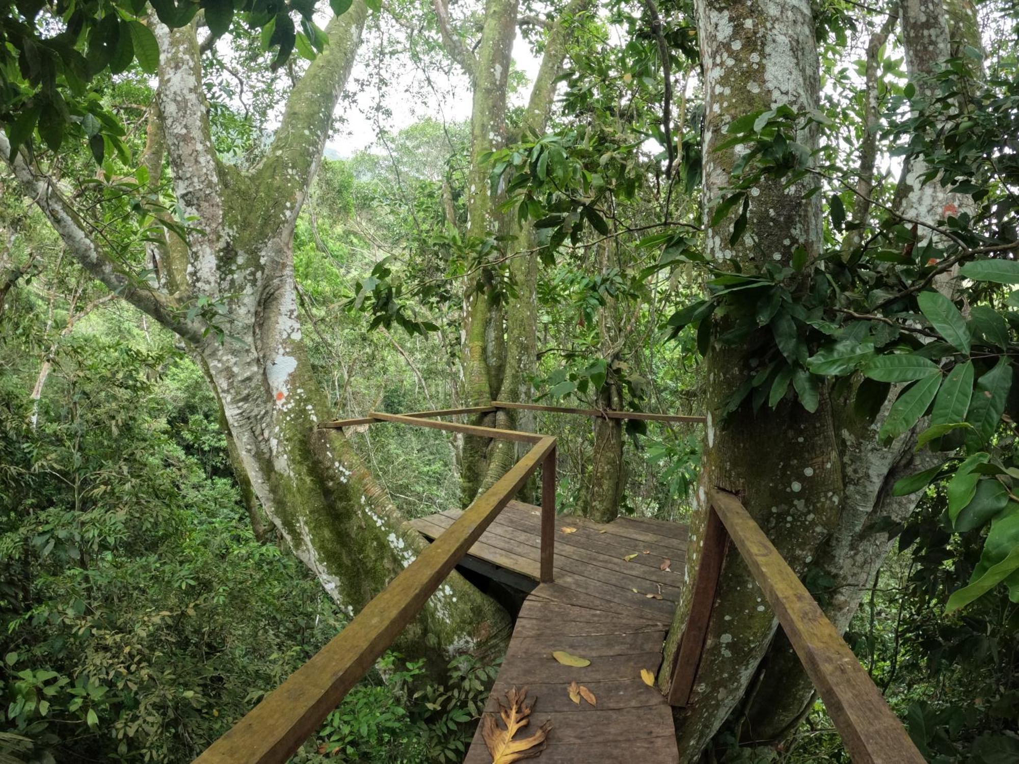 Taorayina Nature Lodge- Immersed In The Forest Ель-Зайно Екстер'єр фото